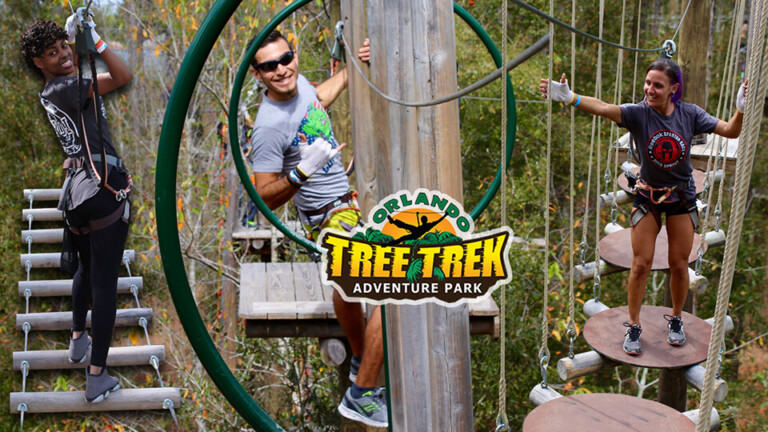 orlando tree trek 001